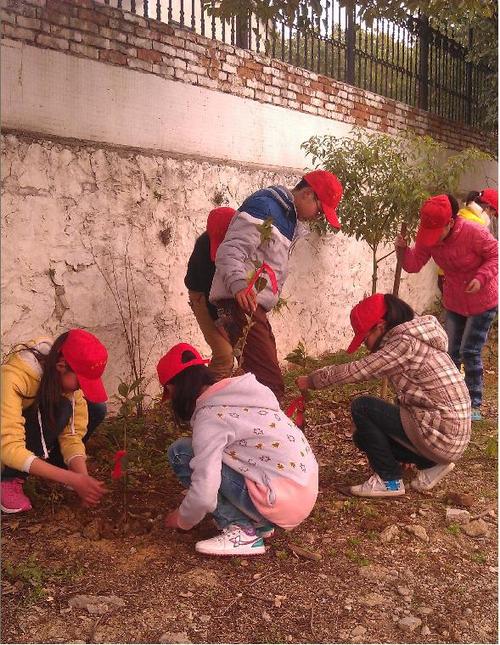 周城中学开展“感恩自然，保护环境”植树活动